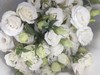 【洋桔梗】--白色 若干枝/扎 商品缩略图1