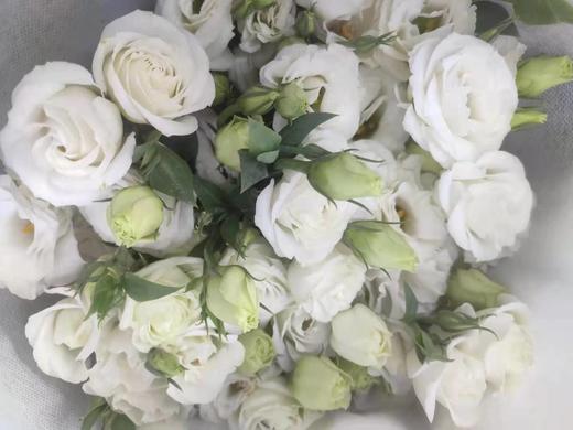 【洋桔梗】--白色 若干枝/扎 商品图1