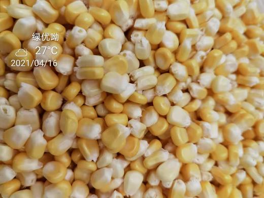 手剥甜脆玉米粒 300g 商品图1