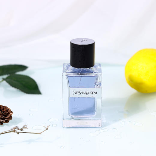 圣罗兰 先锋男士（Y）YSL Yves Saint Laurent Y   分装 商品图0