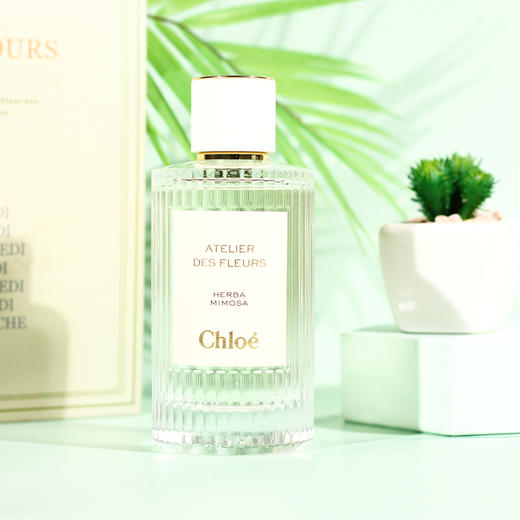 蔻依 仙境花园系列 浅吻含羞草 Chloe Atelier des fleurs Herba Mimosa   分装 商品图1