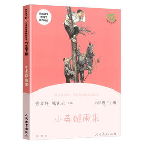 快乐读书吧——小英雄雨来 六年级上册 名著阅读课程化丛书