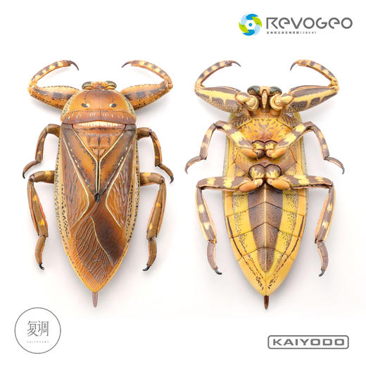 现货 海洋堂 REVO GEO 系列 狄氏大田鱉 摆件 可动 潮玩 商品图4