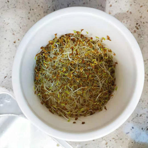 品汁能量白瓷发芽罐 商品图1