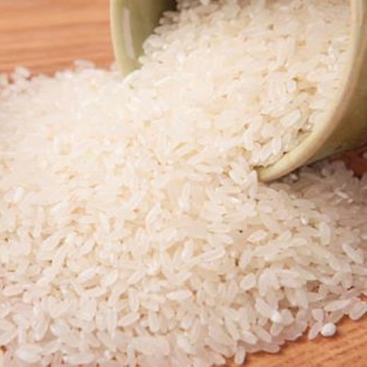 【自营】姜家店火山岩清香稻大米 多规格可选 商品图2