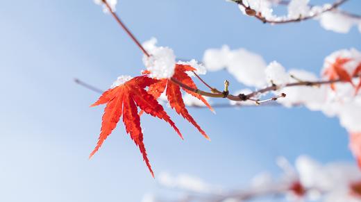 想找到孩子的天赋，培养特长，该如何报兴趣班？【刘妈妈的锦囊-2】 商品图0