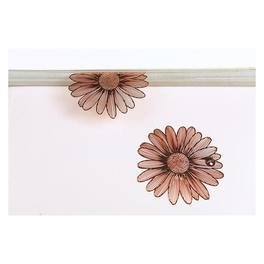 手心里花的信（4片大礼盒升级款） 商品图4