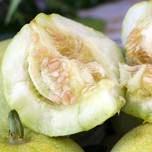 【正宗马连庄甜瓜】9头/箱/约4.5-5斤，核心产区 商品图3