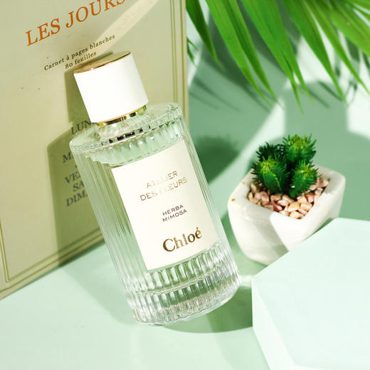 蔻依 仙境花园系列 浅吻含羞草 Chloe Atelier des fleurs Herba Mimosa   分装 商品图0