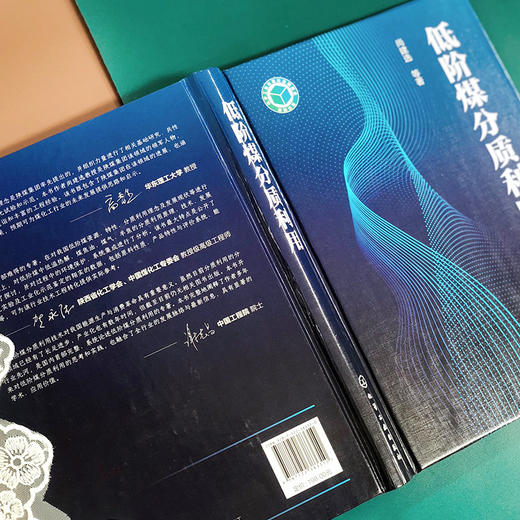 低阶煤分质利用 商品图3