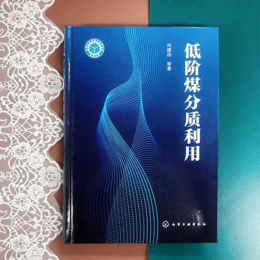 低阶煤分质利用 商品图1