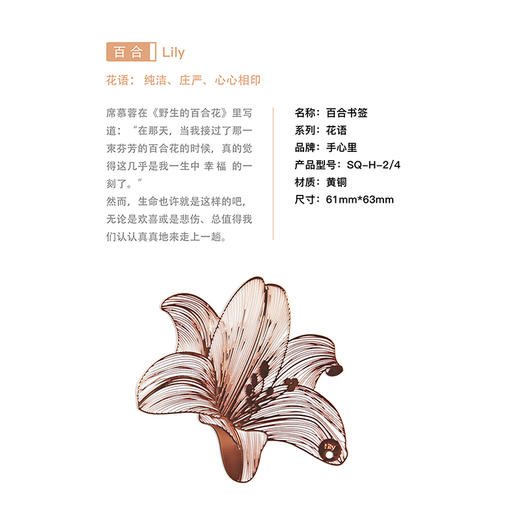 手心里花的信·百合（礼盒装） 商品图1