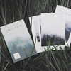 信的恋人盒装明信片迷雾以外的光景P-C2472 商品缩略图0