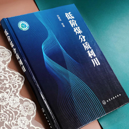 低阶煤分质利用 商品图2