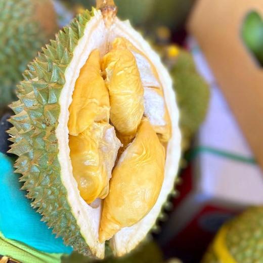 4872小时发货不接急单泰国巴掌猫山王托曼尼榴莲23斤包3房保留快递面