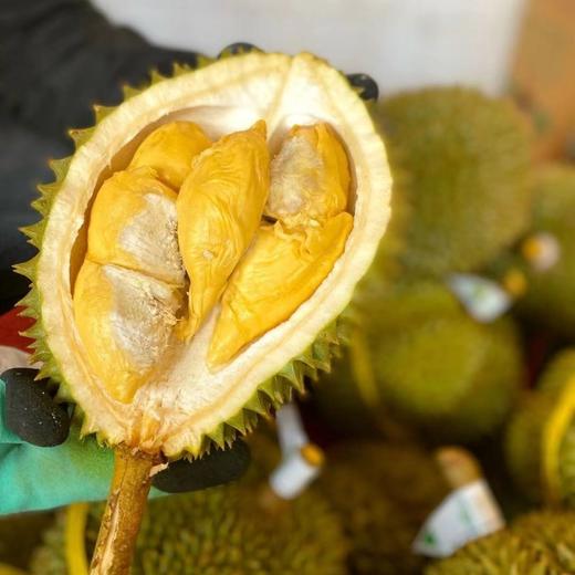 4872小时发货不接急单泰国巴掌猫山王托曼尼榴莲23斤包3房保留快递面