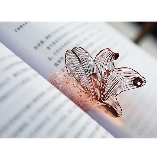 手心里花的信（4片大礼盒升级款） 商品图3