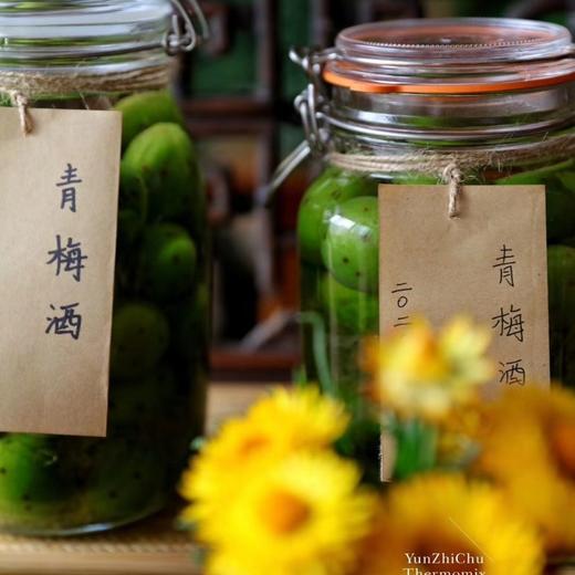 【顺丰京东随机发货】福建高山老树青梅 3/5斤装  （做梅子酒的不是直接吃的） 商品图7