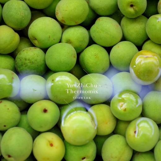 【顺丰京东随机发货】福建高山老树青梅 3/5斤装  （做梅子酒的不是直接吃的） 商品图5