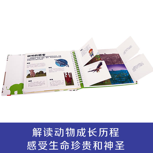 乐乐趣最好玩的动物宝宝百科 商品图4