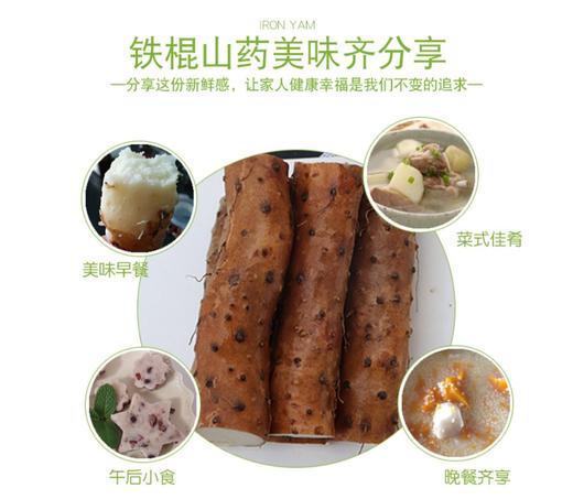 【自营】温县垆土地铁棍山药约5斤/7斤 两种规格可选 商品图4
