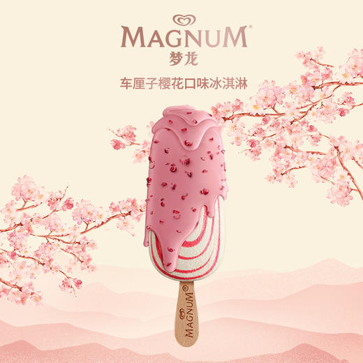 梦龙车厘子樱花冰激凌68g 商品图3