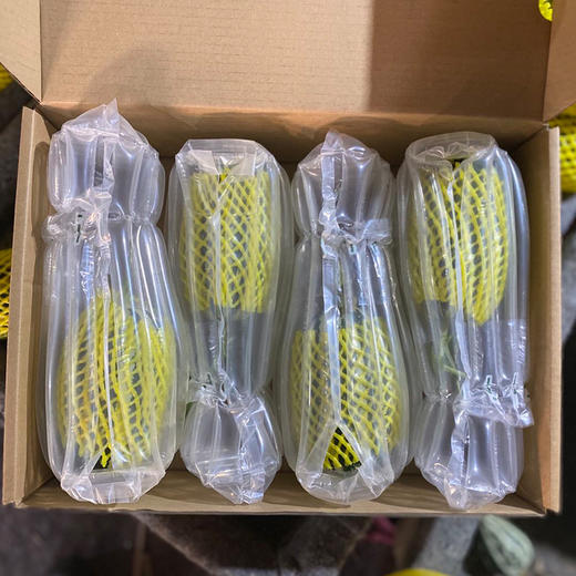 甜瓜中的愣头青 甜墩墩 挑战对青皮瓜的认知 香 脆 甜！青白相间 皮如纸薄 果肉细嫩|百里食 商品图9