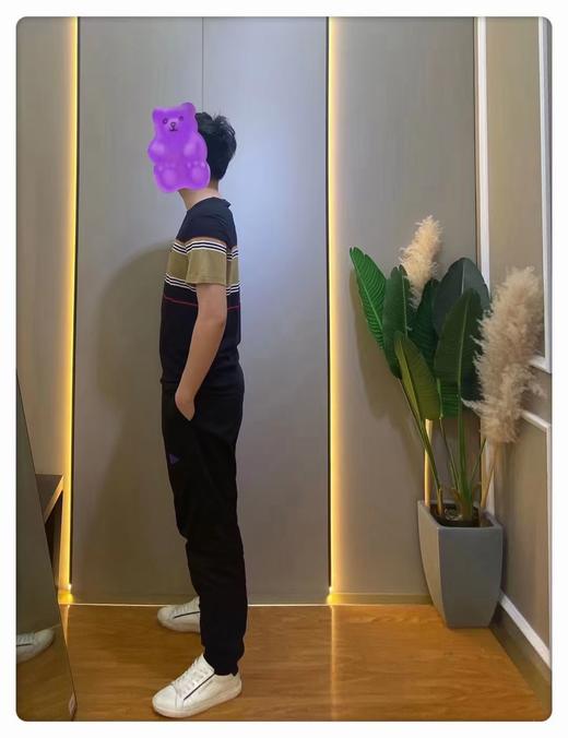 男圆领短T86491 商品图2