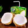 【泰国香水宝宝椰】6头/份，椰中贵族，椰肉Q弹，椰汁清甜，奶香味十足 商品缩略图1