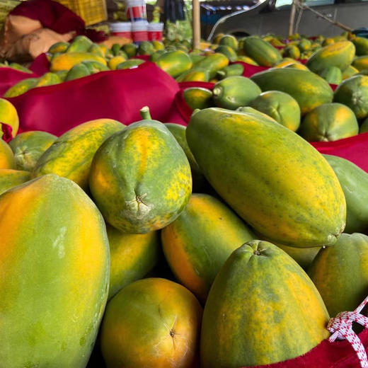 【红瓤香甜自然熟】海南厚切木瓜 商品图6