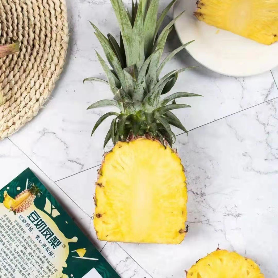 【优选-水果】喝豆奶长大的豆奶凤梨3颗6斤±0.