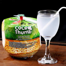 【泰国香水宝宝椰】6头/份，椰中贵族，椰肉Q弹，椰汁清甜，奶香味十足