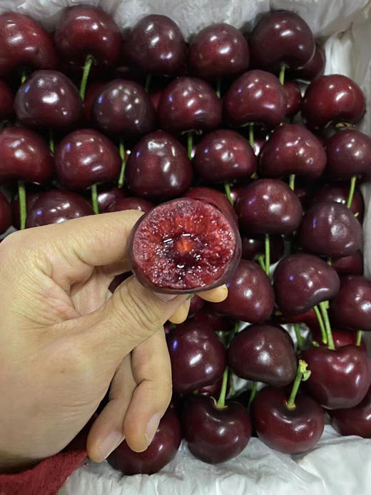 宏丰精选 大连美早樱桃 口感脆甜