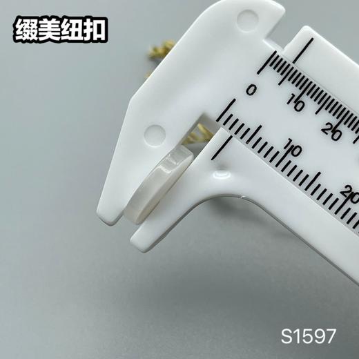 S1597(整包购买) 商品图10