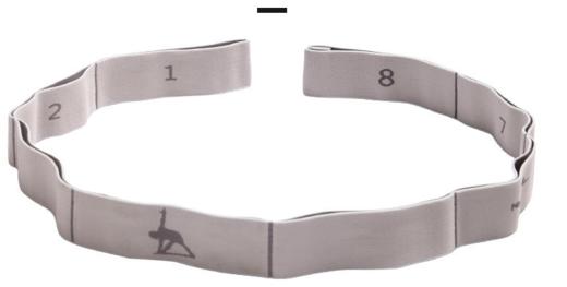 哈瓦塔瑜伽刻度拉力带拉力带弹力带 商品图3