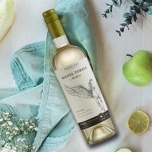 MM 山姆 米高桃乐丝（Miguel Torres）智利进口 安弟卡珍藏长相思干白葡萄酒 750ml 商品图2