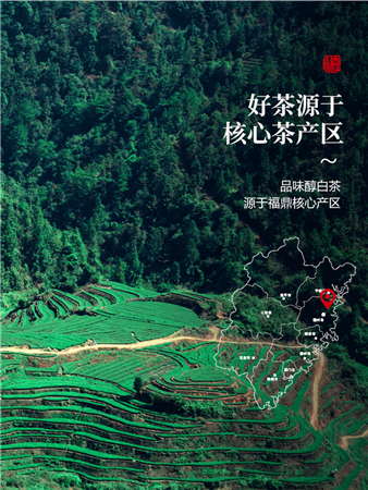 O1CN01jaj0GZ1XLRqNYKvss_!!1854632907 (1)_副本_副本.png