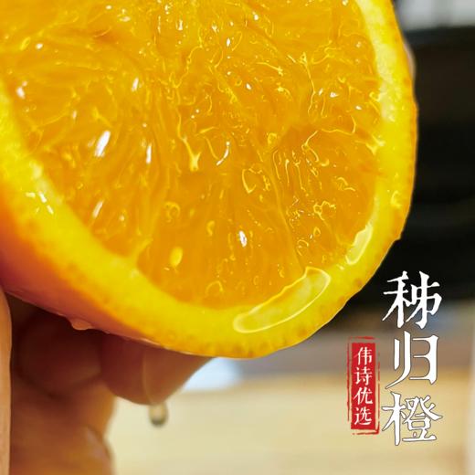【伟诗优选】秭归橙 商品图0