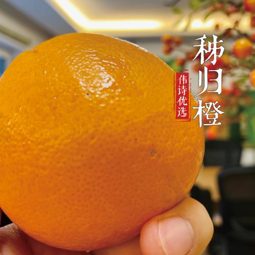 【伟诗优选】秭归橙 商品图1