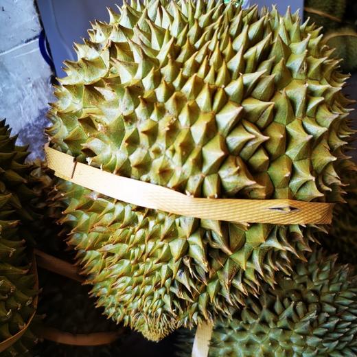 泰国猫山王托曼尼榴梿2-3斤/3-4斤（包4房/保留快递面单） 商品图9