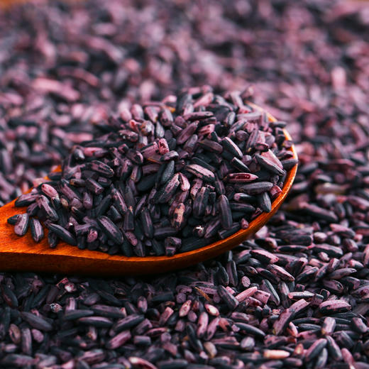 🌾云南 · 墨江 ·  梯田紫米 商品图1