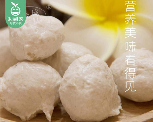 【预售-4月8日配送】【到手2包】春城漳浦肉圆/1份（250g*2包）生产日期：26年3月 商品图4