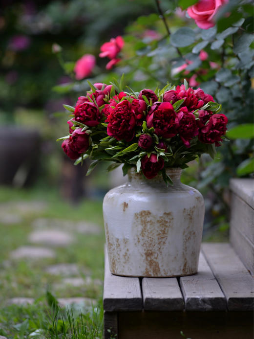 【预售！4.20起陆续发货】红色魅力芍药【当你觉得余味苦涩，请你相信，终有回甘】 复古暗红丝绒质感芍药 2束包邮 顺丰空运直发 商品图3