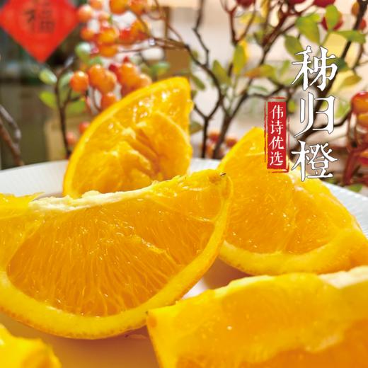 【伟诗优选】秭归橙 商品图8