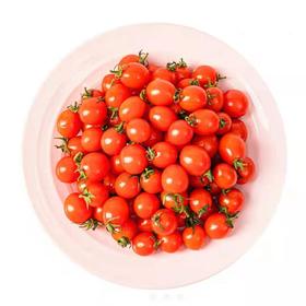 玲珑小番茄一箱
