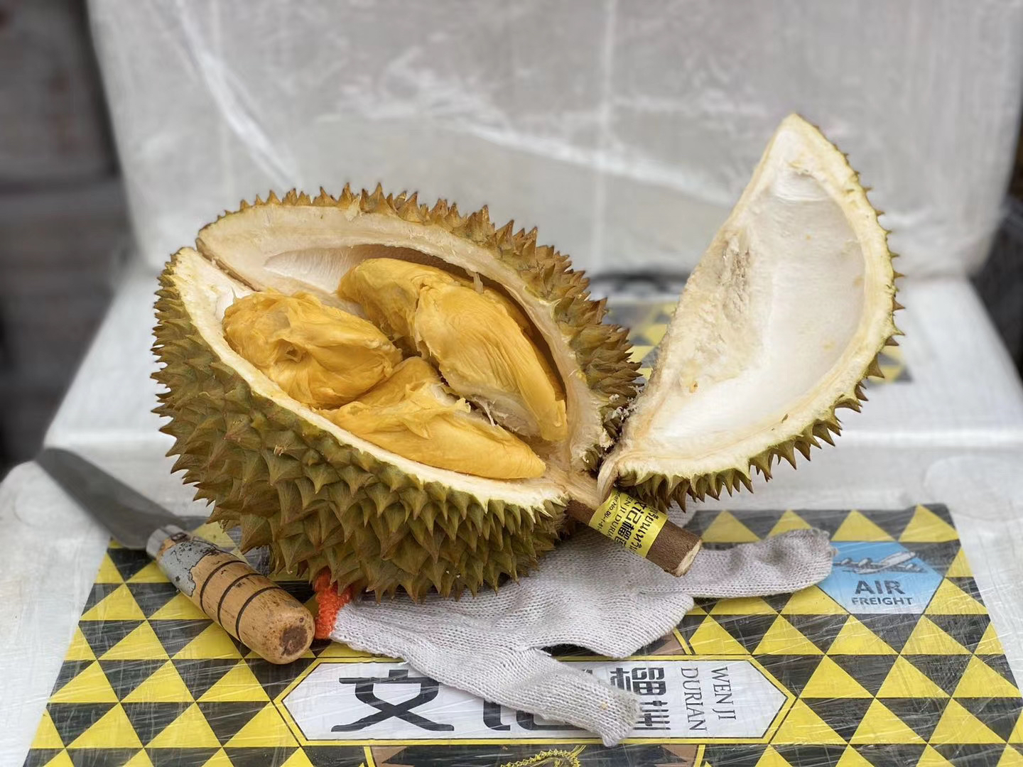 佛山直发包邮08文记榴莲品种马来西亚猫山王