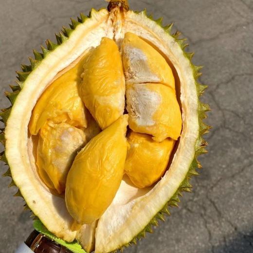 泰国猫山王托曼尼榴梿2-3斤/3-4斤（包4房/保留快递面单） 商品图1