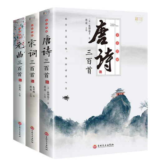 3册唐诗宋词元曲正版全集三百300首 中国古诗词大会全套鉴赏辞典 青少年初高中小学生中华古诗文读本注释译文赏析文白对照彩图全解 商品图4