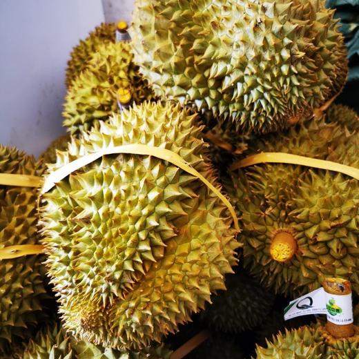 泰国猫山王托曼尼榴梿2-3斤/3-4斤（包4房/保留快递面单） 商品图12