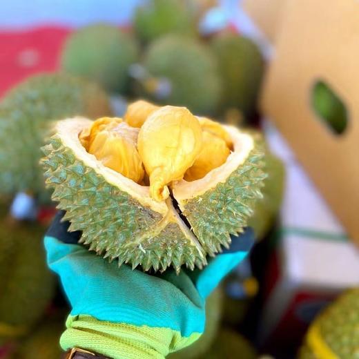 泰国猫山王托曼尼榴梿2-3斤/3-4斤（包4房/保留快递面单） 商品图5